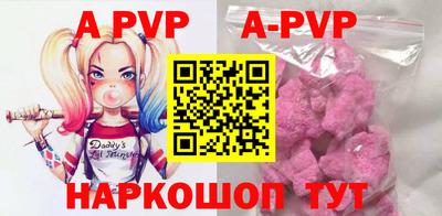 крисы Славгород