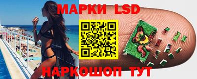 крисы Славгород