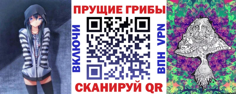 купить наркоту  Павлово  Галлюциногенные грибы мицелий 